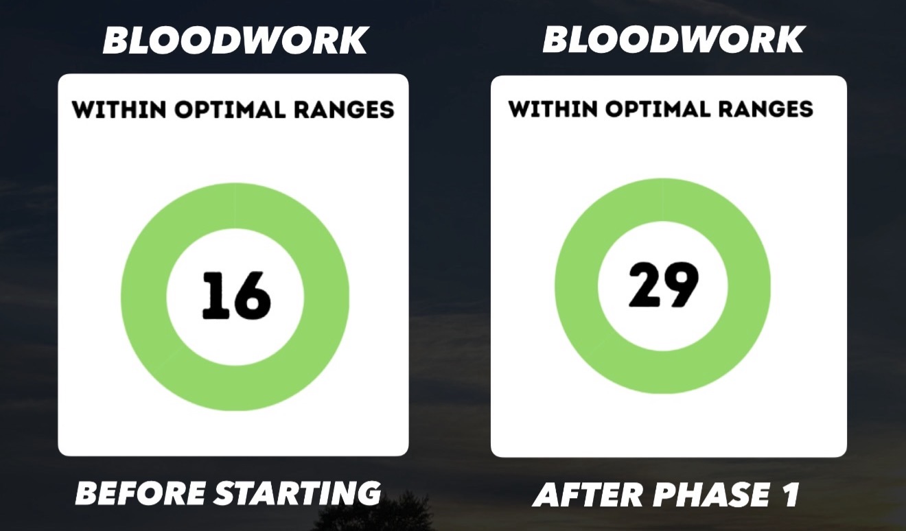 Bloodwork within optimal ranges: 16 before starting, 29 after Phase 1